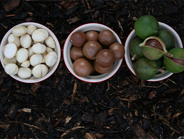 recent-facilities-img-6