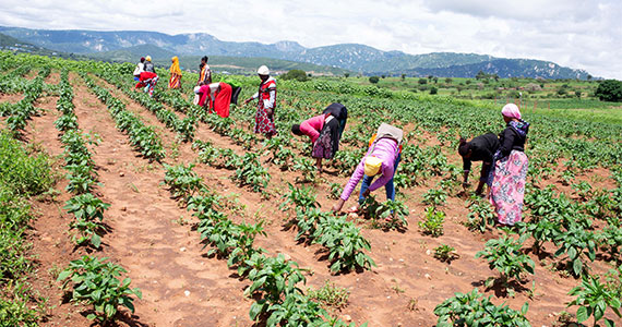 upcoming-events-img-2