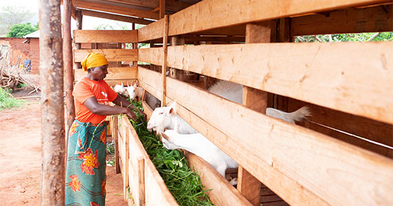 upcoming-events-img-1