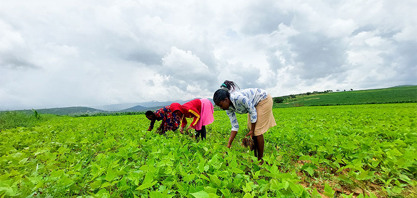 single-services-img-1