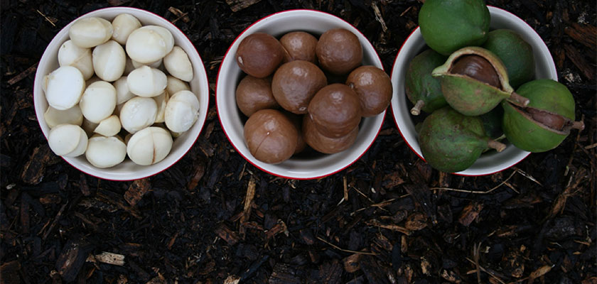 single-services-img-2